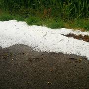 Roannes-Saint-Mary 11/08/2020