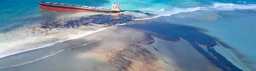 Edito : Ile Maurice ou Liban, la mer en péril