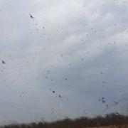 Virandeville 12/08/2020