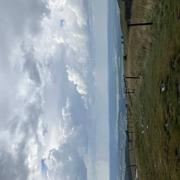 Longevilles-Mont-d'Or 14/08/2020