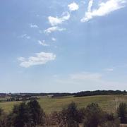 Puygaillard-de-Lomagne 15/08/2020