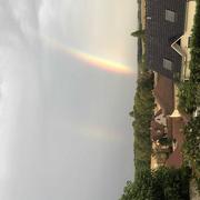 Fauverney 16/08/2020