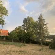 Vailly-sur-Sauldre 16/08/2020