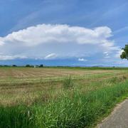 Algolsheim 17/08/2020