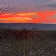 Anneville-sur-Mer 18/08/2020