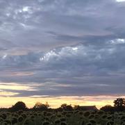 Couloutre 19/08/2020