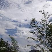 Le Landreau 22/08/2020