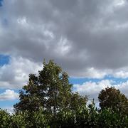 Châlons-en-Champagne 24/08/2020