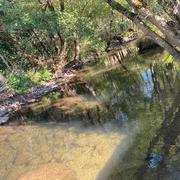 Peyroux-Murat 26/08/2020