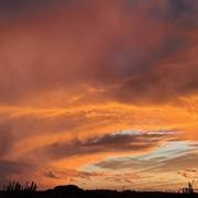 Guignemicourt 28/08/2020