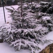 Prats-du-Périgord 31/08/2020