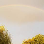 Intraville 06/09/2020