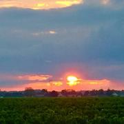 Saint-Nicolas-de-Bourgueil 22/09/2020