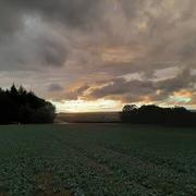 Champfleur 25/09/2020