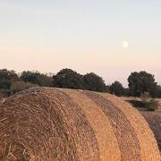 Chasseneuil 28/09/2020