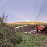 Bois-de-Céné 03/10/2020