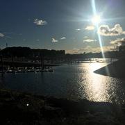 Lac du Der-Chantecoq (Marne) 05/10/2020