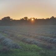 Montélimar 08/10/2020