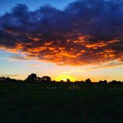 Le Lion-d'Angers 11/10/2020