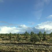 Saint-Jean-d'Illac 11/10/2020