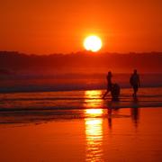 San José 14/06/2010