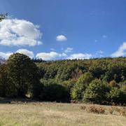 Villelongue 17/10/2020