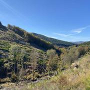 Murat-sur-Vèbre 18/10/2020