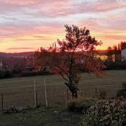 Bouzonville 21/10/2020