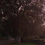 La Croix des Vignes 22/10/2020