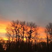 Béthisy-Saint-Martin 26/10/2020