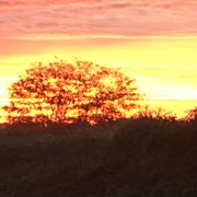 Allemans-du-Dropt 01/11/2020