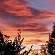 Vidauban 02/11/2020