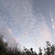 La Bazoge 02/11/2020