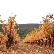 Lac du salagou 03/11/2020
