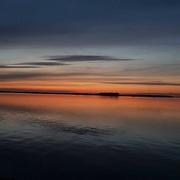 Lac du Der-Chantecoq (Marne) 07/11/2020