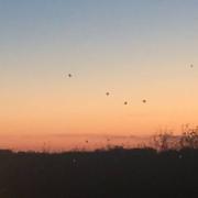 Bar-le-Duc 09/11/2020