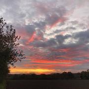 Saint-Denoual 11/11/2020