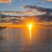 La Grange d'Allouet 12/11/2020