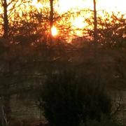 Varennes-sur-Allier 14/11/2020