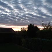 May-en-Multien 15/11/2020