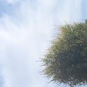 Flanville 15/11/2020