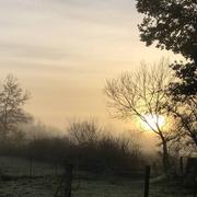 Dommartin 17/11/2020