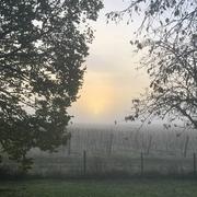 Mérignas 17/11/2020