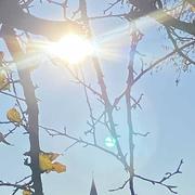 Lez-Fontaine 18/11/2020