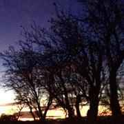 Beauvoisin 20/11/2020