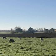 Baleyssagues 22/11/2020