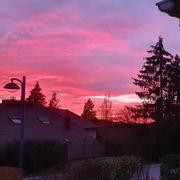 Les Forges 22/11/2020