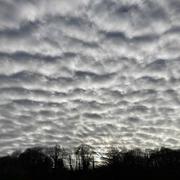 Bouvigny-Boyeffles 22/11/2020