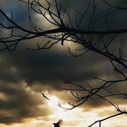 Saint-Witz 23/11/2020