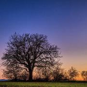 Pont-du-Château 23/11/2020